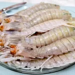 clean mantis shrimp featured