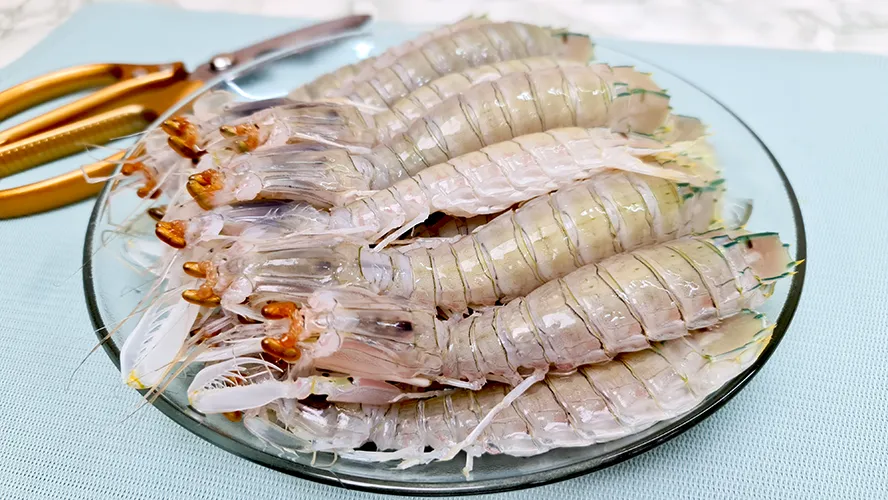 How to Clean Mantis Shrimp